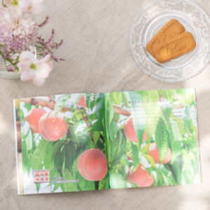 カタログギフト